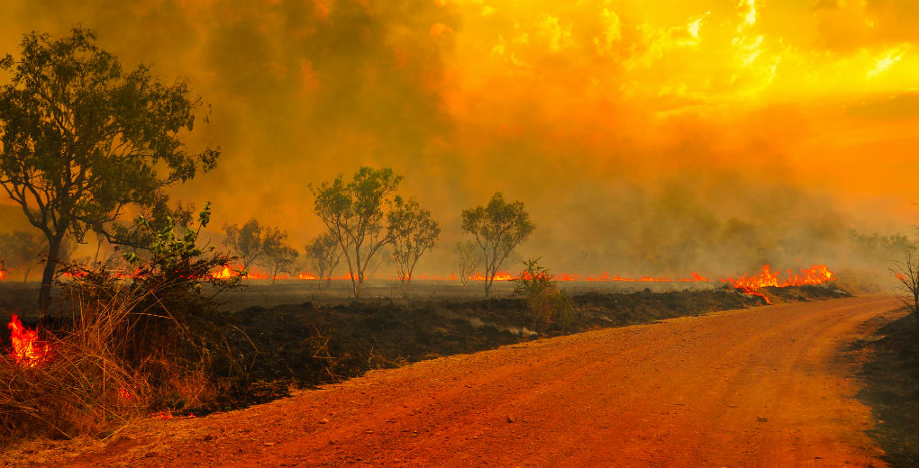 Cancelling a holiday due to the Australian bushfires? Here ...